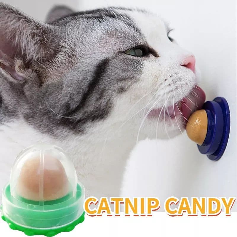 Lambedor Saudável para Gatos Snack Cartnip Pirulito de Gato doce para Pets