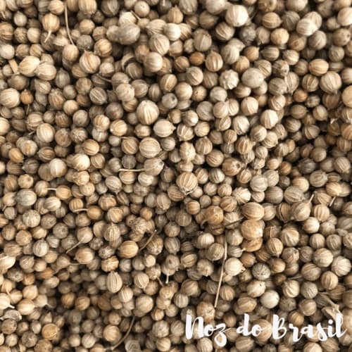 Coentro em Grão - 50 g (Noz do Brasil)