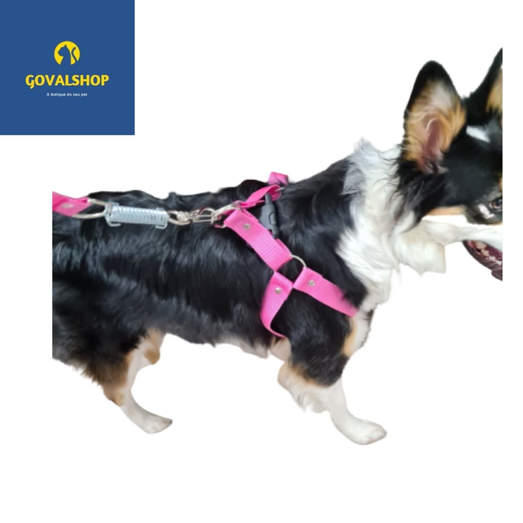 Coleira para cachorro kit peitoral e guia para cão grande pet com amortecedor na guia