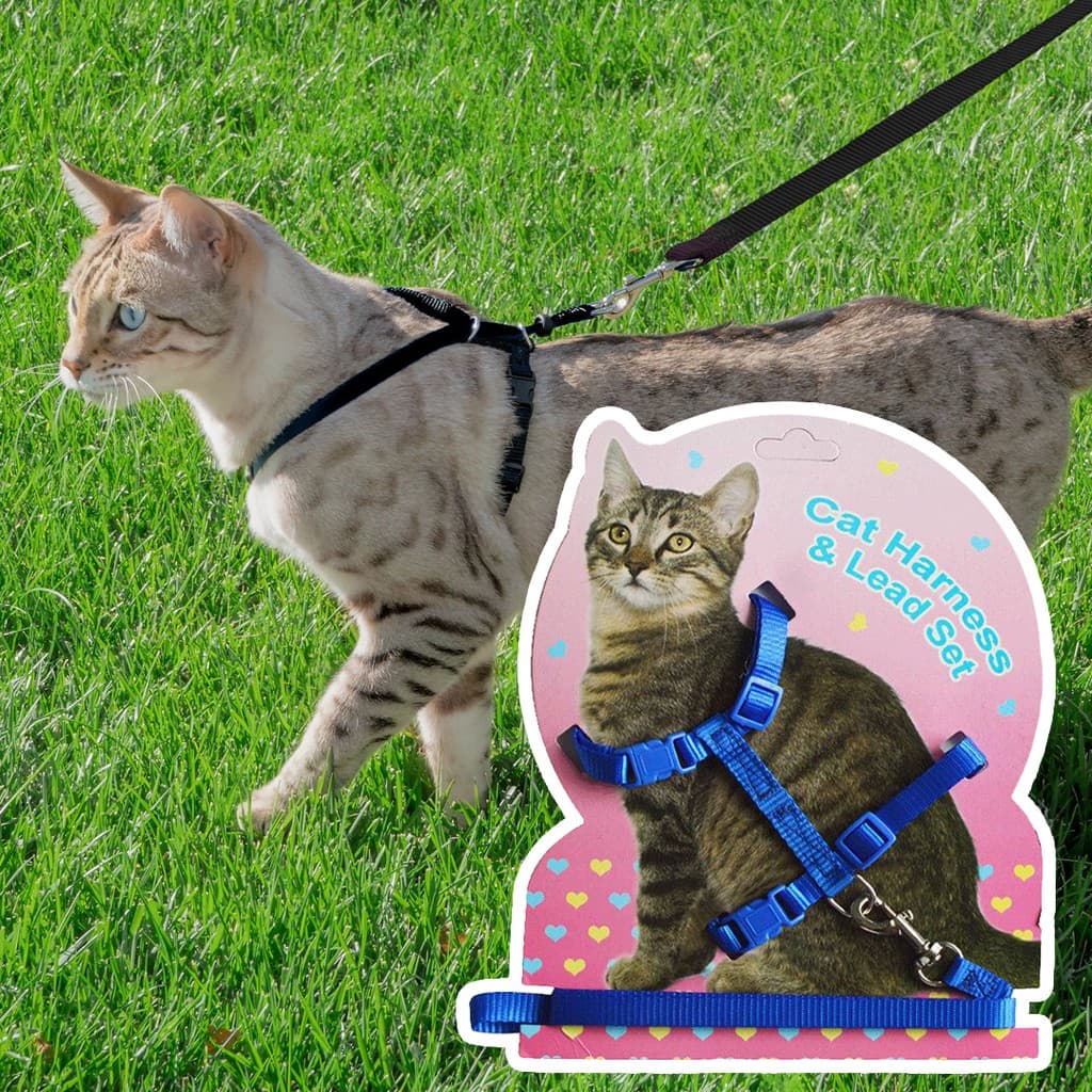 Coleira Peitoral Colete com Guia Para Gatos Pet Animais- R84506
