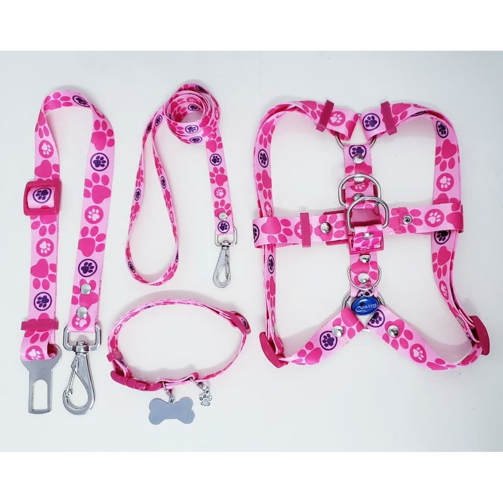 PROMOÇÃO KIT pet Cachorro coleira, guia, placa, cinto e peitoral.Todas as Raças, Pet, Cachorro, Cão