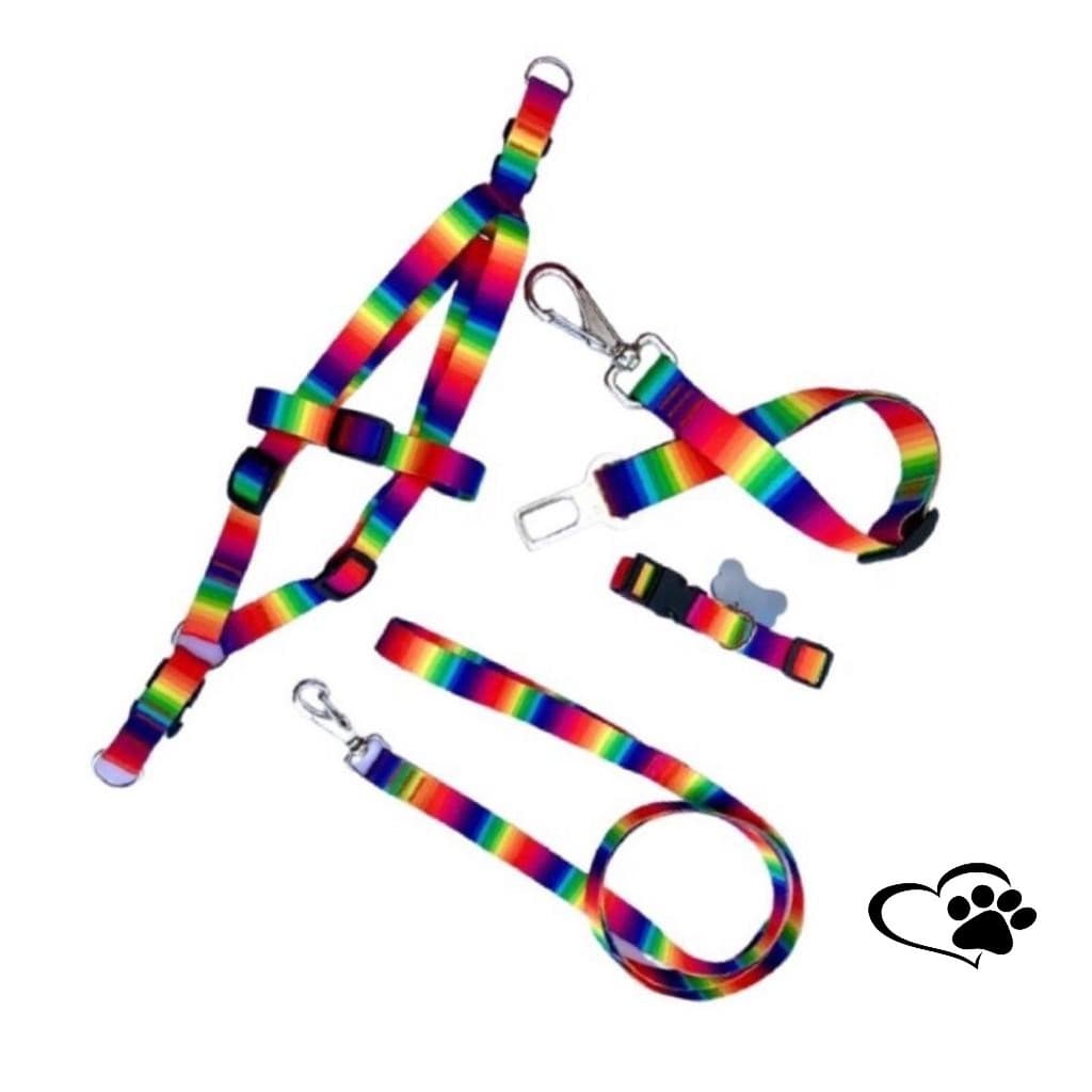 kit Coleira Peitoral Guia e Cinto de Segurança para Cães e Gatos Pet Modelo Arco-Íris Coloridas