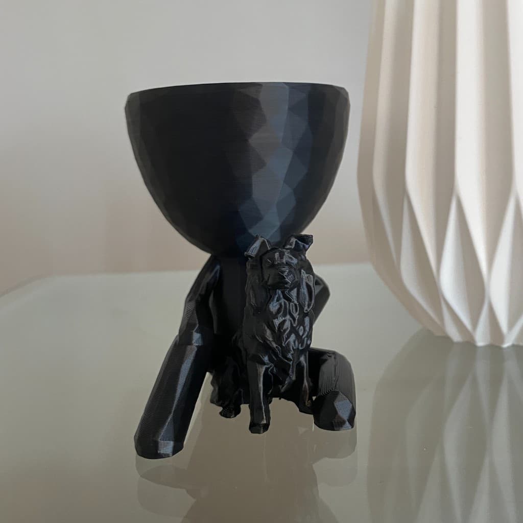 Vaso com Cachorro Border Collie - Vasinho Robert Plant com cachorro Lowpoly