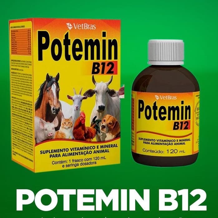Potemin B12 120ml Vitamina para Cachorro Gatos Aves Equínos Bovinos Suínos Suplemento para Cachorro