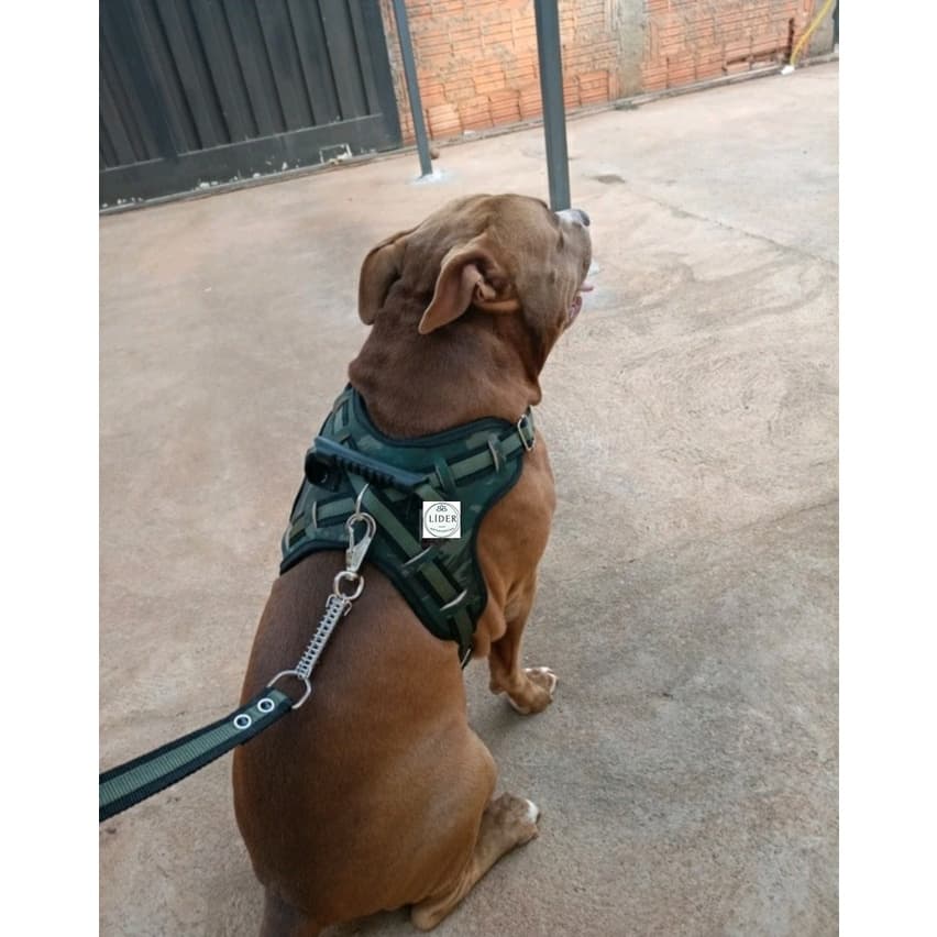 Peitoral Coleira +Guia Anti Puxão Para Cachorro Grande Porte