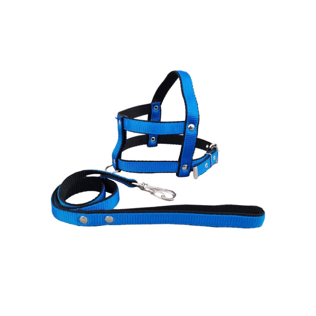 Guia E Peitoral Nylon Duplo P/cães Cachorro - Nº 7