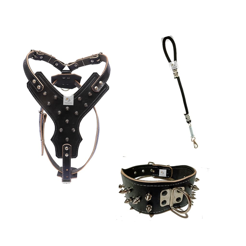 Kit Peitoral cachorro Pitbull Couro + Coleira Spike + guia de corda com amortecedor