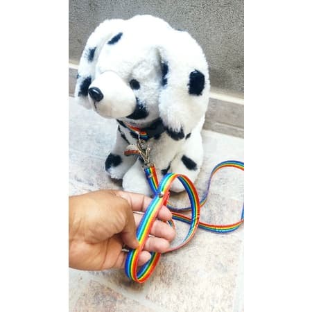 Placa de identificação Pet + Coleira regulável  + guia para Cachorro - Pet