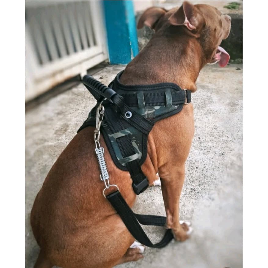 Coleira Peitoral Para Cães Pet Cachorro Grande Porte Acompanha Guia