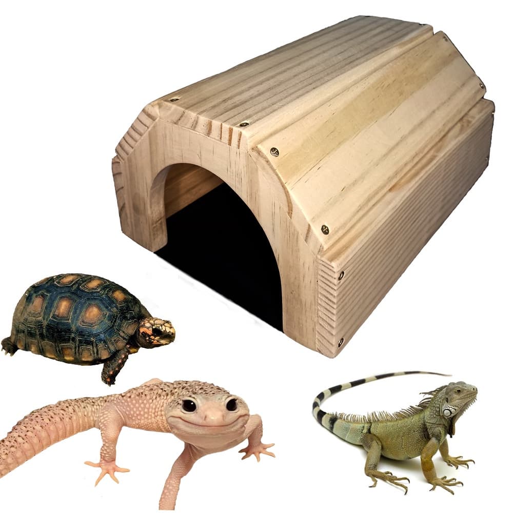 Toca casinha redonda para jabuti tartaruga lagarto iguana cobra