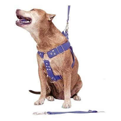 Peitoral Cachorro Guia E Adaptador Serve Pit Bull Labrador