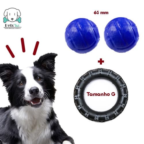 Brinquedo Bolinha Maciça e Mordedor Pneu para Cachorro Médio Porte Kit com 3 Brinquedos
