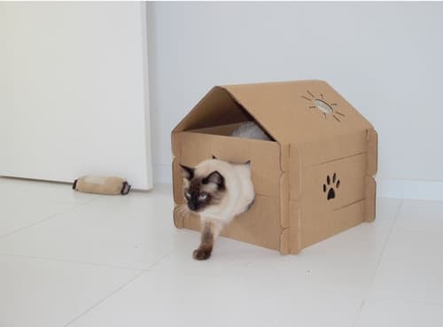 Casinha Para Gatos Cat House Cama Gato Papelao Petpira Pet Casa Pet
