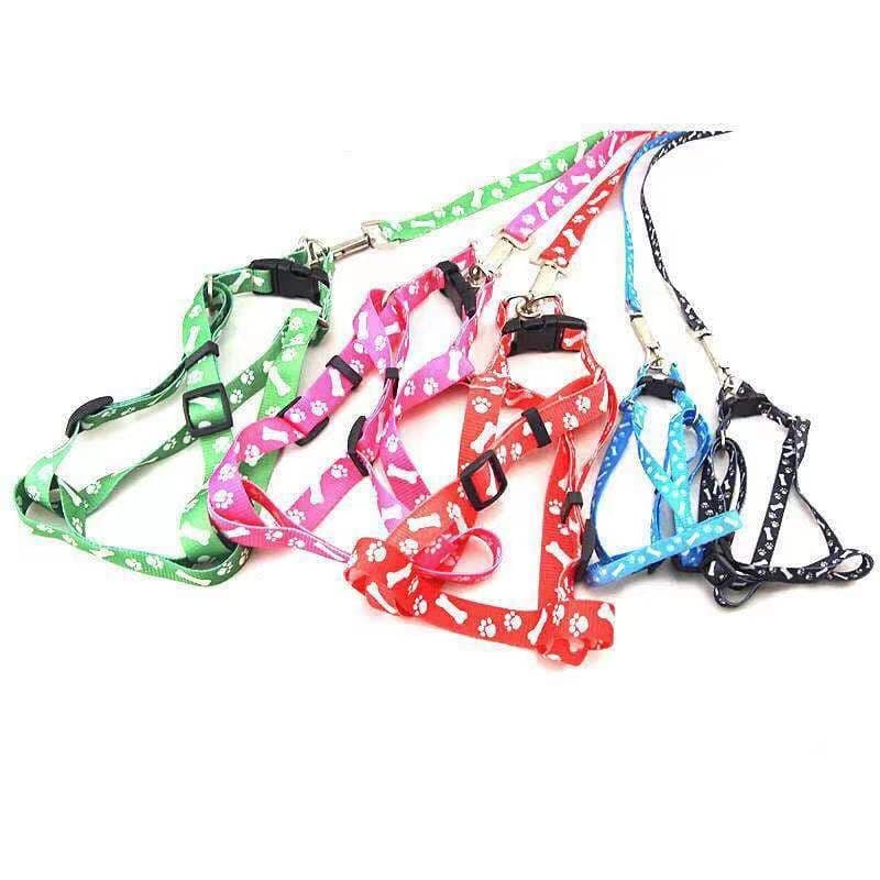 Coleira Guia Peitoral Para Cachorro Gato Ajustável Pet Cão Pequeno e Médio Porte 1.5cm
