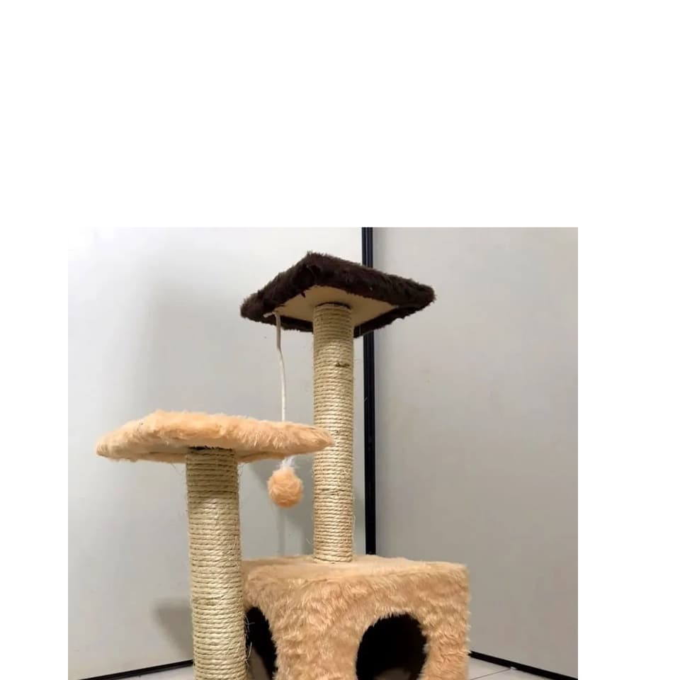 Arranhador Toca Para Gato Cores Diversas
