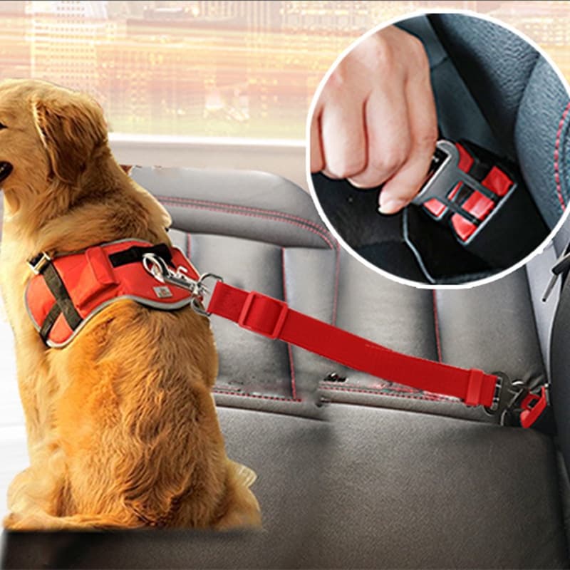 Cintos de Segurança para Cães e Gatos, Coleiras Ajustáveis para Cães Pequenos, Acessórios para Coleiras, Guia e Coleira,