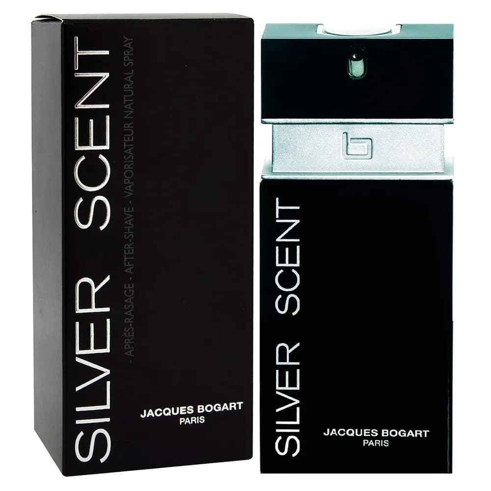 Perfume Importado Silver Scent 100ml EDT Masculino | Original