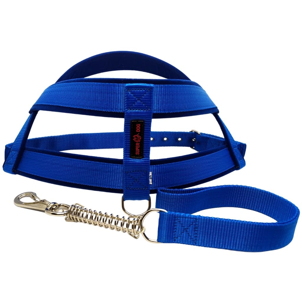 Peiteira Pet Coleira Para Cachorro Com Nome Personalizado Peitoral Confortável Gato Porco Forrado Acompanha Guia Anti Puxão Pet Grande Porte Para Adestramento