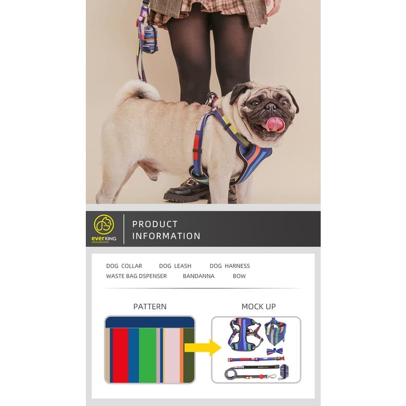 Kit 6em1 Cachorro Guia Coleira Peitoral Lenço Gravata Porta Sacola PET Colorido