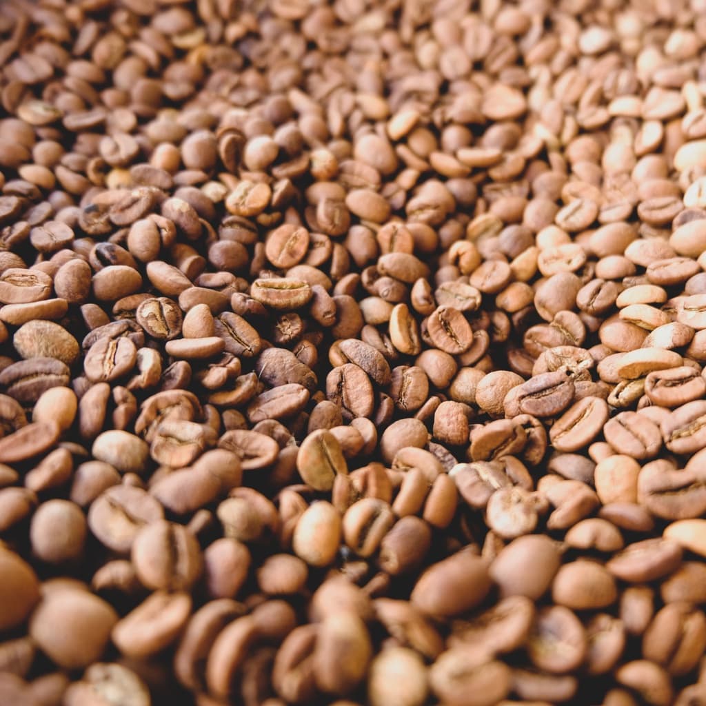 Café em Grão Torrado Gourmet  Sul de Minas1 kg