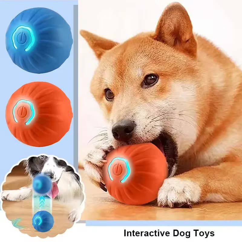 Bola vibratória recarregável LED quente, brinquedo inteligente recarregável para cães e gatos, anti-mordida