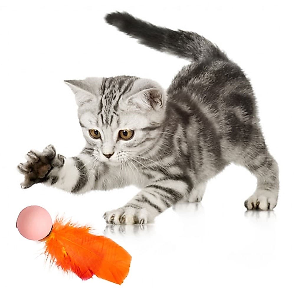 Brinquedo P/ Gato Bolinha Ping Com Pena 12 Unid Chocalho