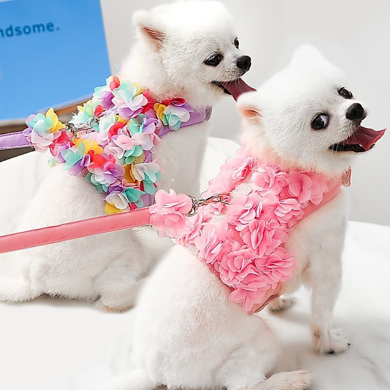Coleira Peitoral Cachorro Gato Cães Confortável Pequenos e Médios Kit Guia + Coleira Flores