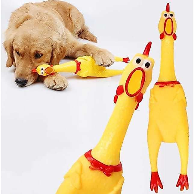 Galinha Frango Borracha Mordedor Cachorro Pet Faz Barulho / Brinquedos Cachorro Pet cão