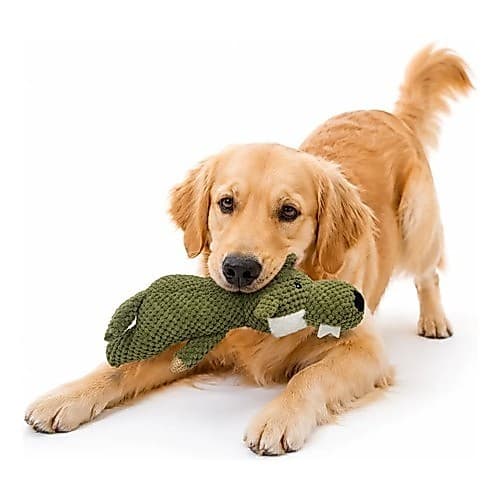 Brinquedo Pet Bichinho Pelúcia Cachorro Mordedor Com Apito Verde-musgo Cachorro Oferta