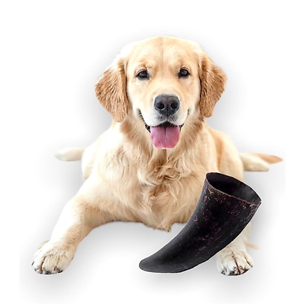 Mordedor Natural para Cães Ponta de Chifre de Boi BeefBone para Pet Roer Diversão Passa Tempo de Seu Cachorro