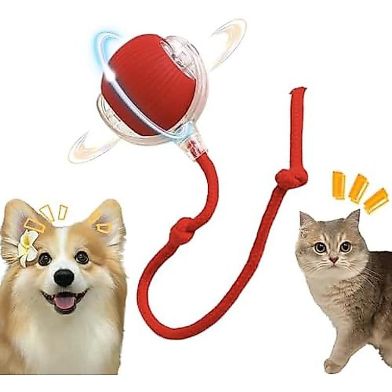 2 Pacotes De Brinquedo Interativo Para Gatos, Elétrico De Bola De Cachorro, Brinquedos Internos, De Queijo De R
