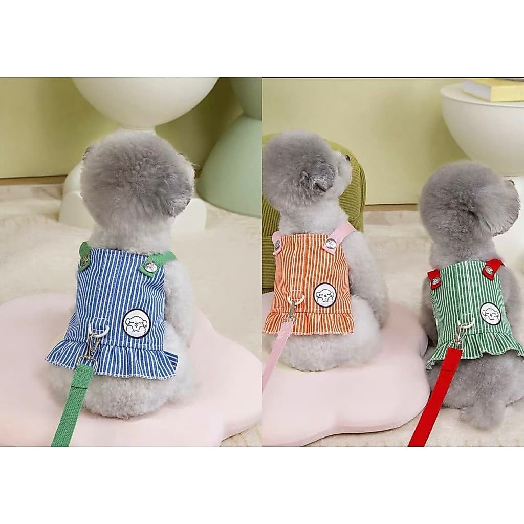 Coleira peitoral com guia colete saia vestidinho roupa de passeio luxo cachorro gato roupinha pet