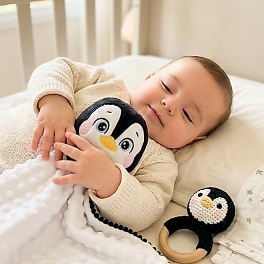 Kit Naninha De Pinguim Prendedor De Chupeta + Chocalho Bebê Maya Baby Enxovais