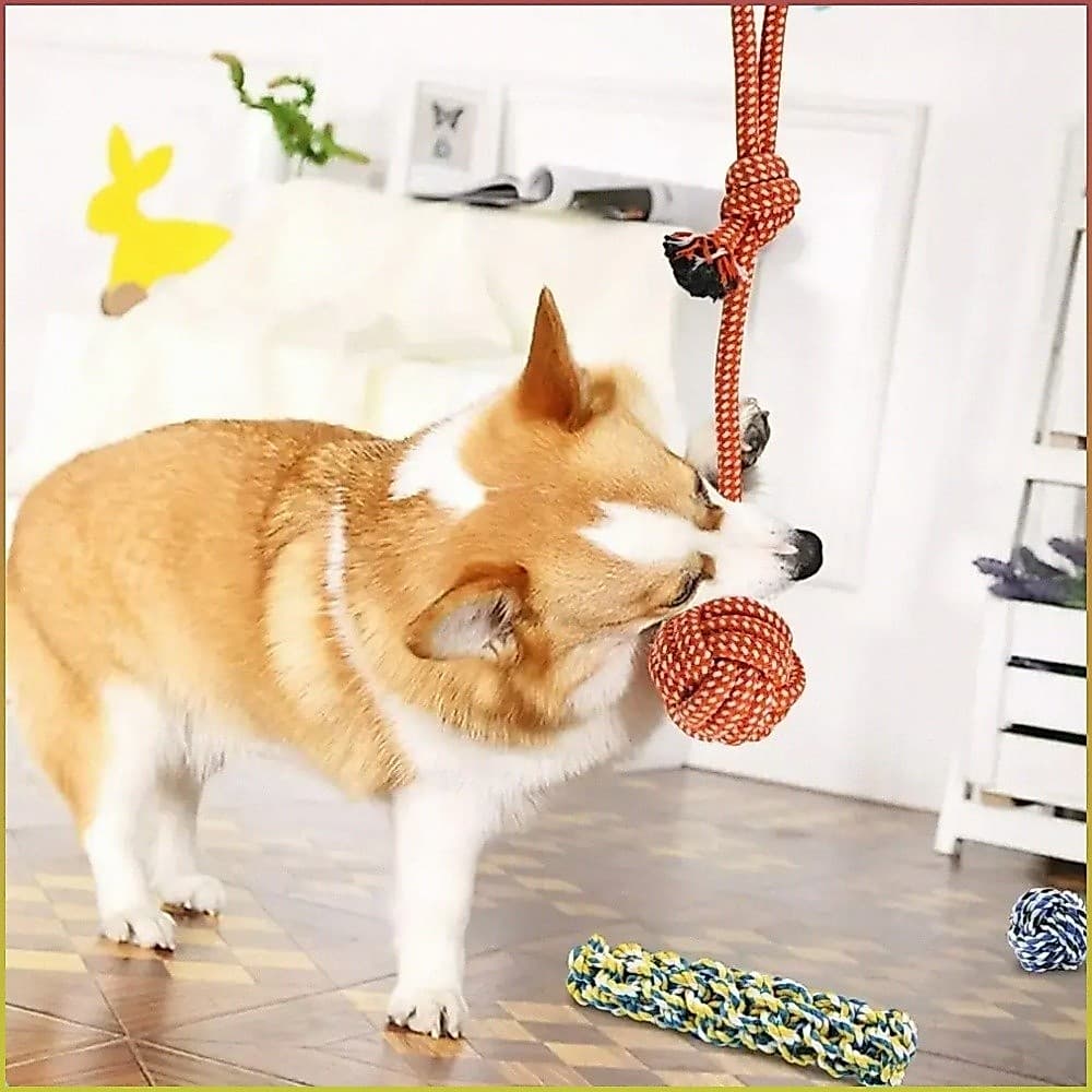 [Alta Qualidade] Kit De Brinquedos Para Cachorro/Brinquedo Sonoro/Brinquedo Interativo Para Treino E Entretenimento
