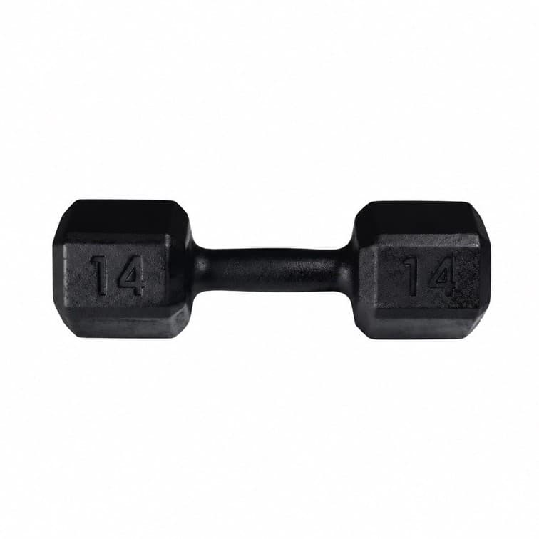 UNIDADE Halter Pintado Emborrachado 14kg Treino Musculação Academia