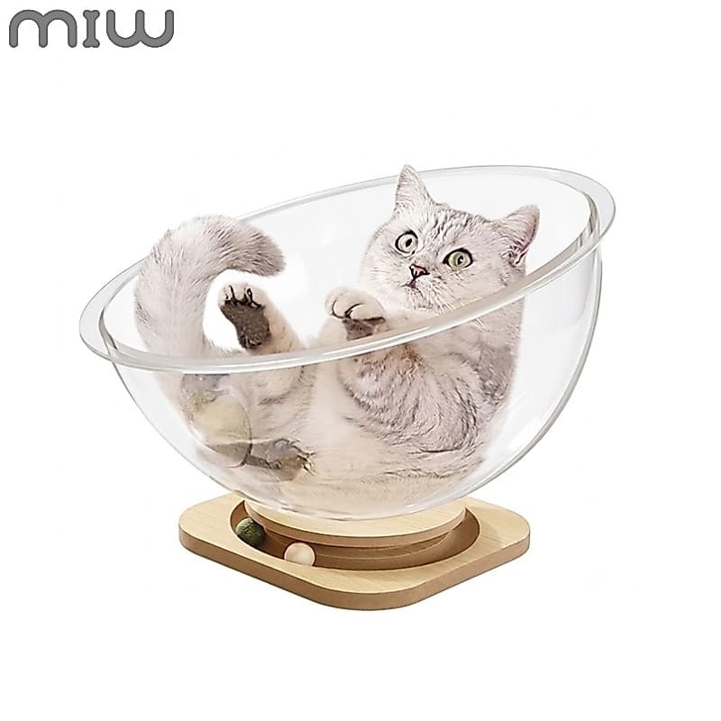 Cama Espacial Gato Acrilico Transparente Casinha De Gato Luxo Alivia Tedio Pet