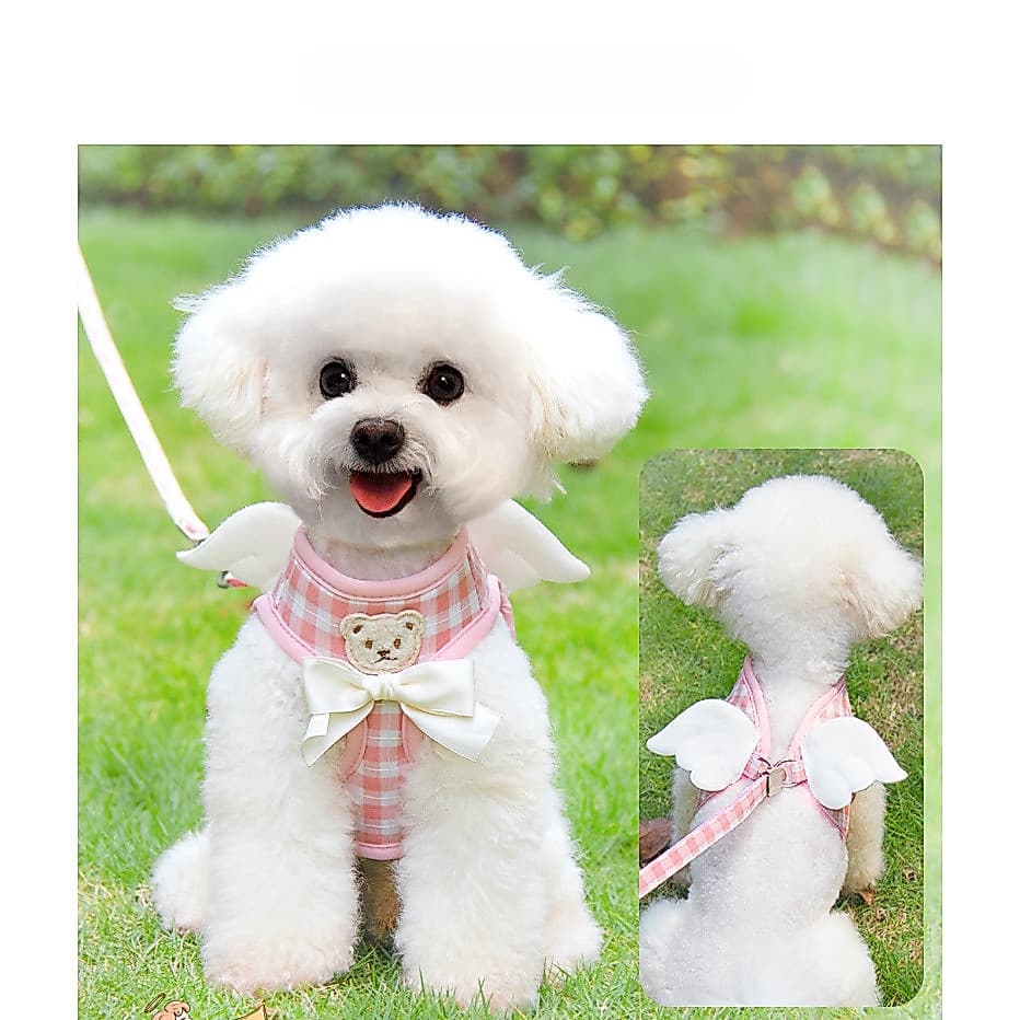 Coleira com guia para cães Corgi, cães de porte médio e filhotes, guia tipo colete para passear com cães.