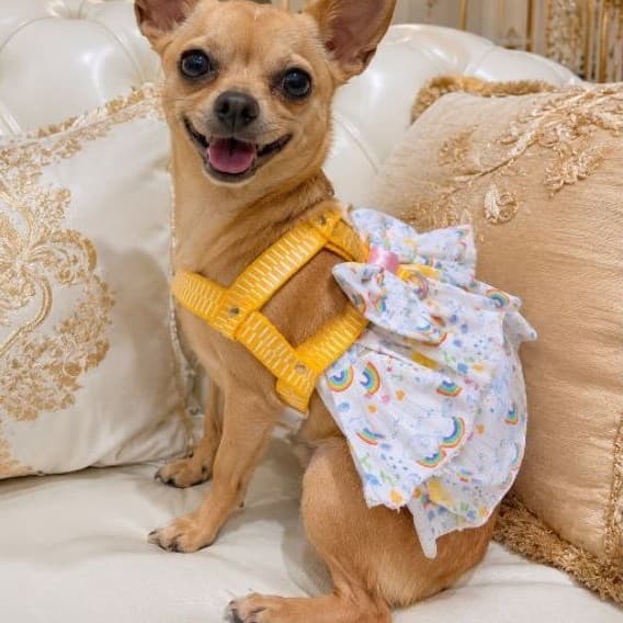 COLEIRA PEITORAL SAIA PET Fêmea com Saia Vestido Ajustável para Cachorro Com Guia Passeio Pet