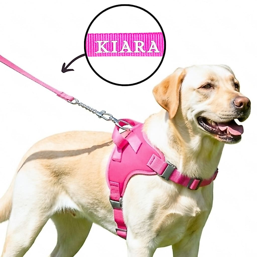 Peitoral Coleira com Nome para Cachorros Grandes Personalizado Guia de Passeio Pet