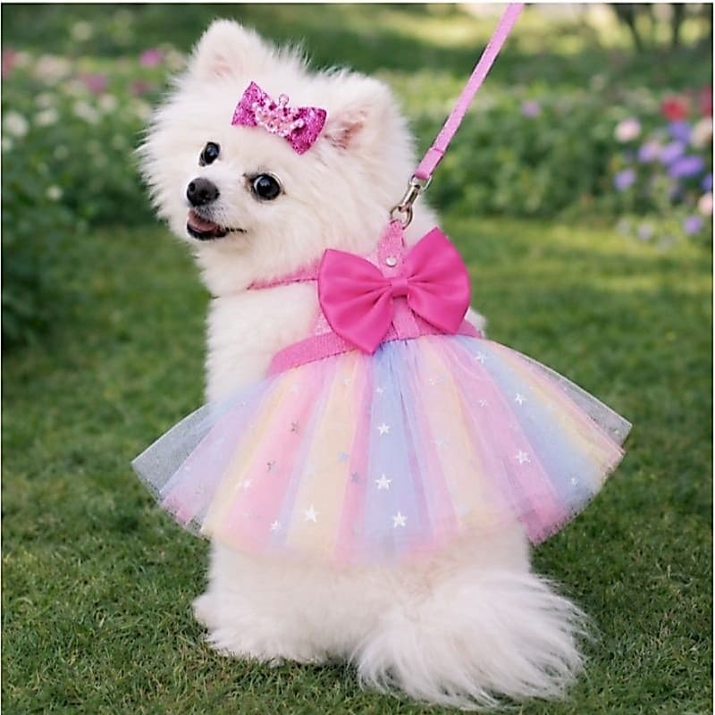 COLEIRA PEITORAL SAIA TULE ARCO IRIS PET FÊMEA PORTE PEQUENO- GUIA FIXA