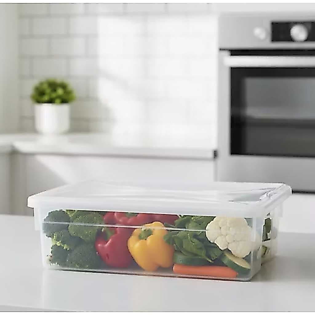 Pote Caixa Organizadora 05 Litros com Tampa Multiuso Carnes Aves Legumes Verdura Freezer