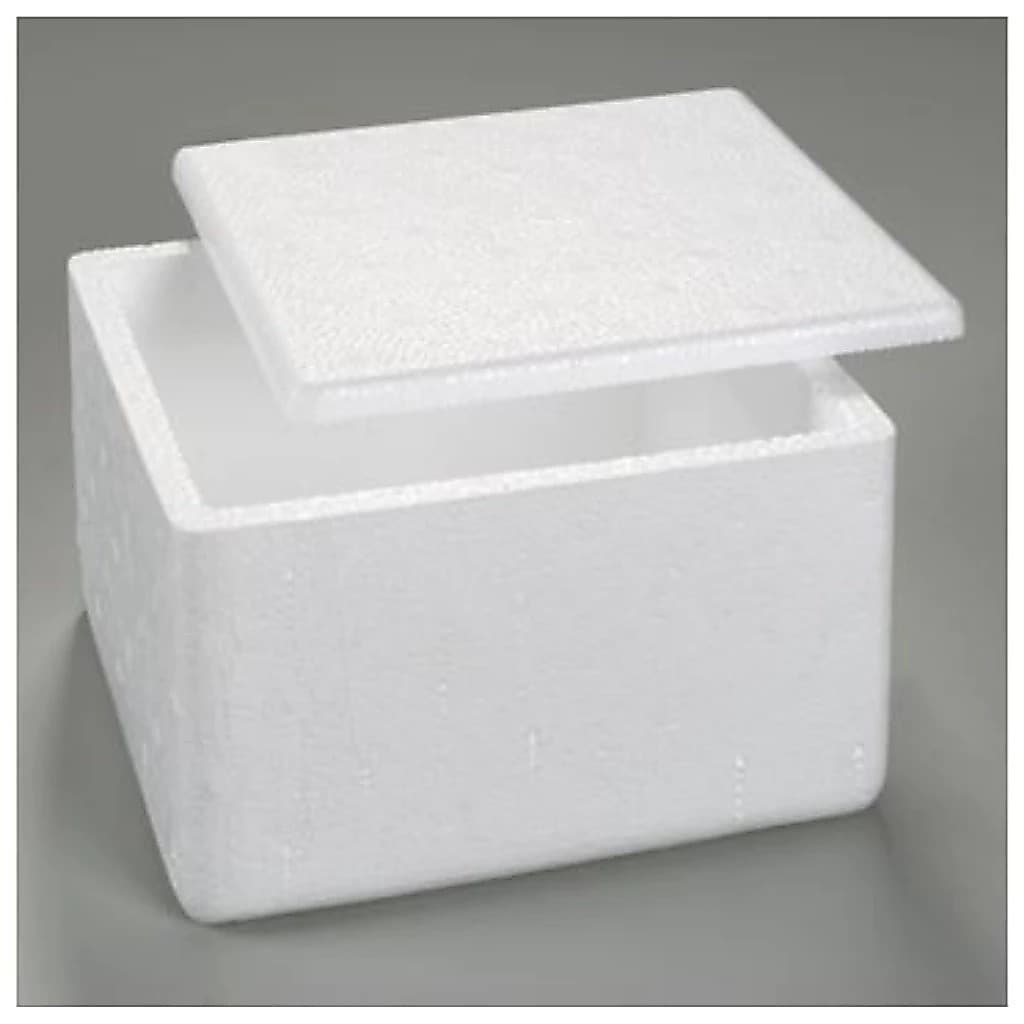 Kit 10 Caixas de isopor termica pequena 250g medicamento insulina