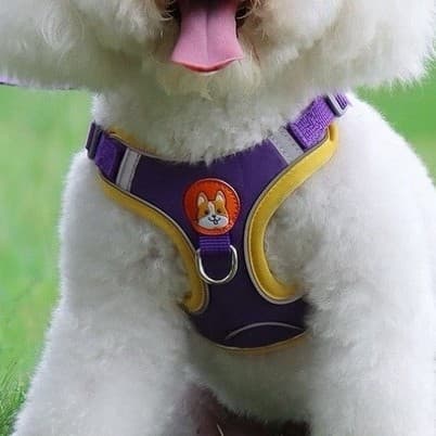 Coleira Peitoral Ajustável com Guia e Tiras Refletivas para Pets Pequenos e Médios