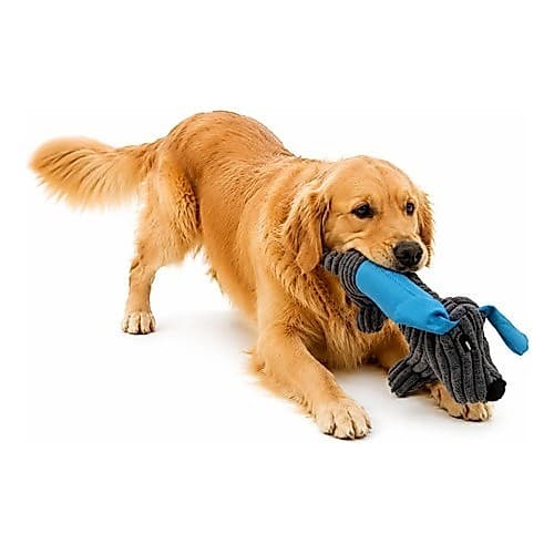 Brinquedo Pet Bichinho Pelúcia Cachorro Mordedor Com Apito Cinza E Azul Cachorro Salsicha Oferta