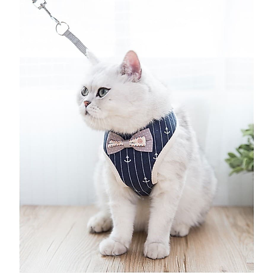 Coleira Peitoral Guia Gato Cão Pequeno Pet Luxo