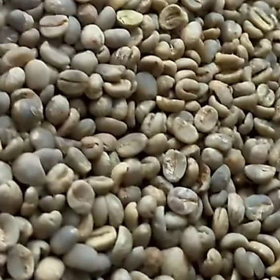 Café em Grãos Cru para torra artesanal - 100% Arábica - Sul de Minas
