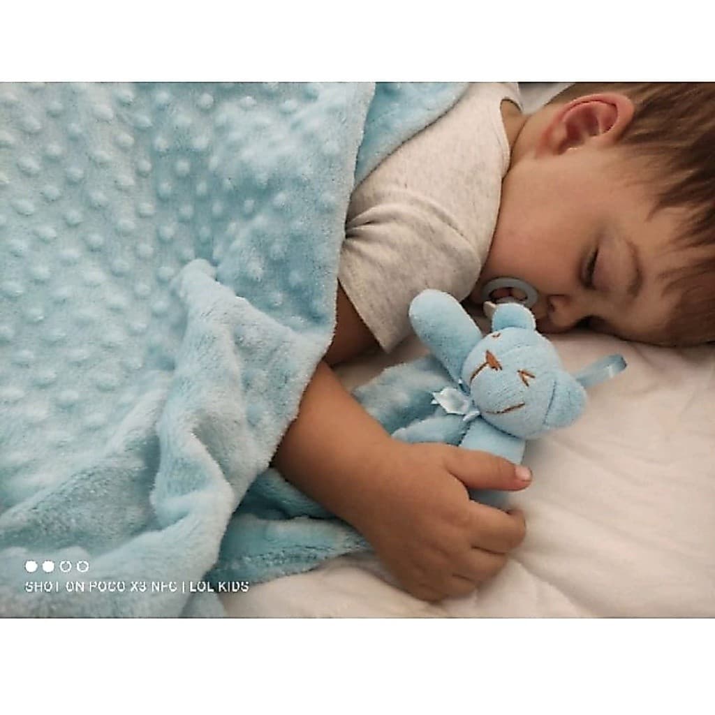 kit 2 Peças - Manta + Naninha Enxoval Menina Menino Plush Fofinha 13 cores