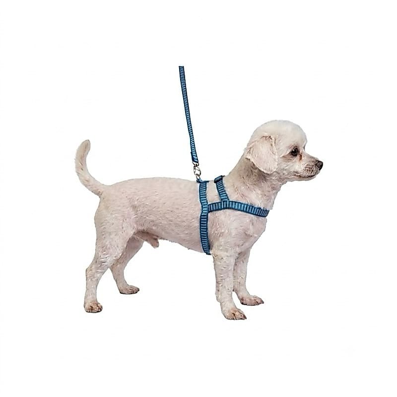 Coleira Peitoral e Guia para Cachorro Porte Pequeno - Peitoral + Guia Listrado para Cães
