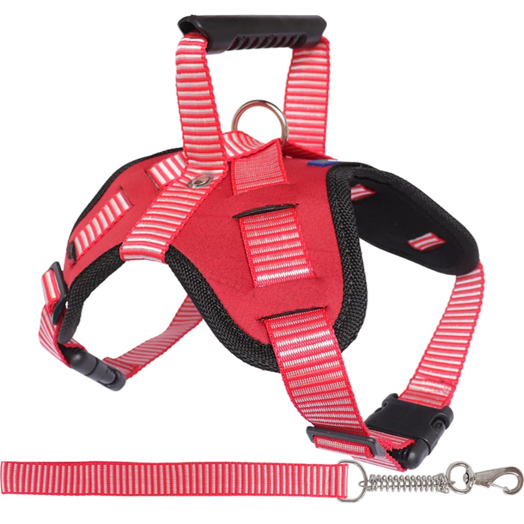 Peitoral P/ Cachorro Modelo Califórnia + Guia Para Todos os Tamanhos e Raças
