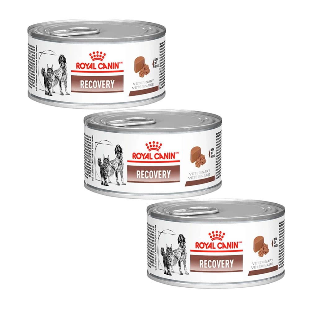 Caixa 3un Ração Úmida Royal Canin Veterinary Recovery Wet 195g